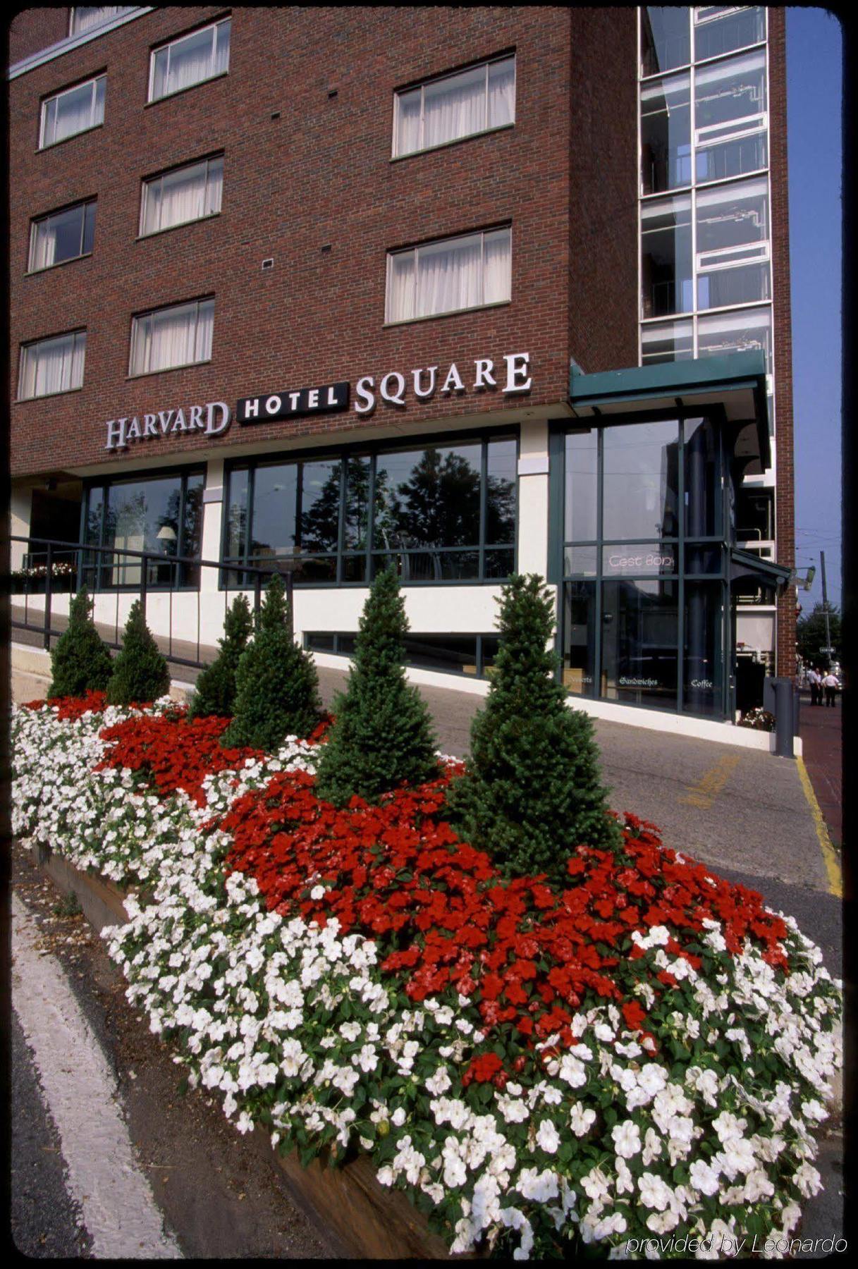 Harvard Square Hotel Cambridge Extérieur photo